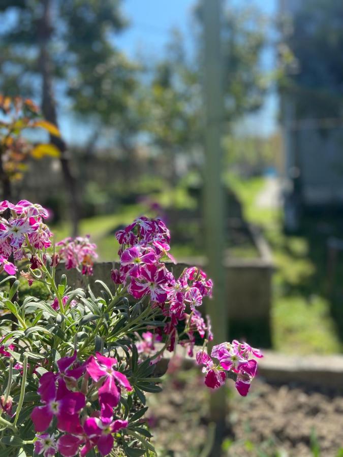 Villa Osmani Драч Екстериор снимка