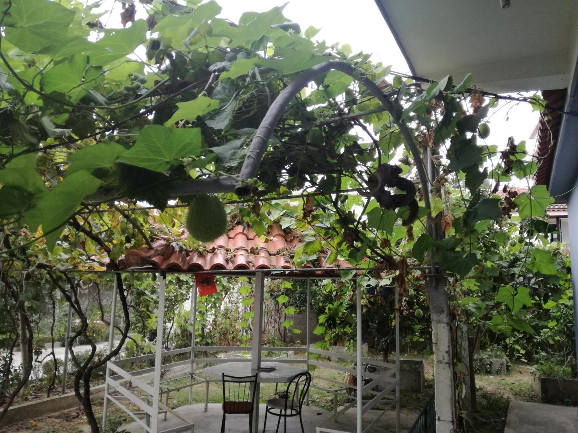 Villa Osmani Драч Екстериор снимка